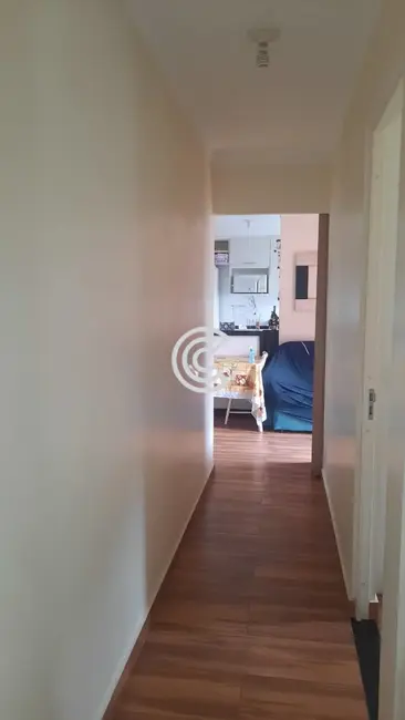 Foto 7 de Apartamento com 2 quartos à venda, 52m2 em Vila Satúrnia, Campinas - SP