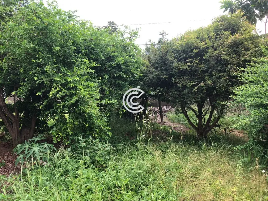 Terreno / Lote à venda, 335m2 em Jardim Eulina, Campinas - SP - imagem 7 Foto 7 de Terreno / Lote à venda, 335m2 em Jardim Eulina, Campinas - SP