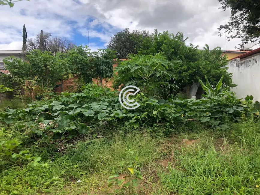 Terreno / Lote à venda, 335m2 em Jardim Eulina, Campinas - SP - imagem 4 Foto 4 de Terreno / Lote à venda, 335m2 em Jardim Eulina, Campinas - SP