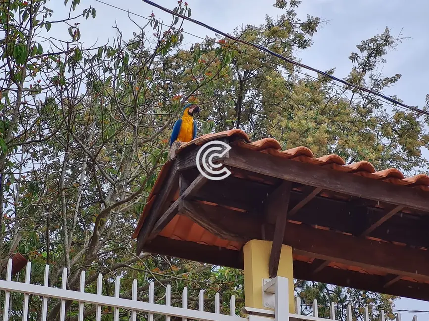 Chácara com 3 quartos à venda, 340m2 em Sousas, Campinas - SP - imagem 3 Foto 3 de Chácara com 3 quartos à venda, 340m2 em Sousas, Campinas - SP