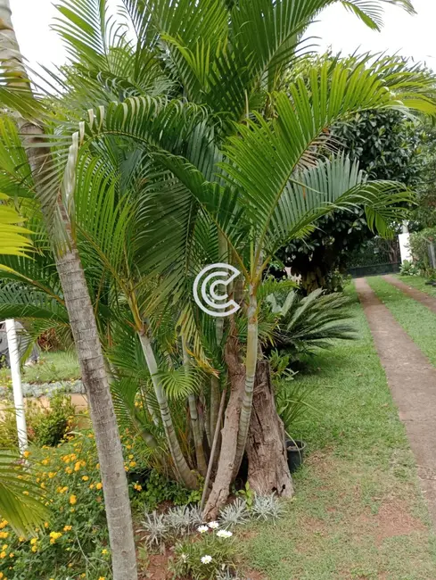 Foto 1 de Chácara com 2 quartos à venda, 1000m2 em Recanto dos Dourados, Campinas - SP