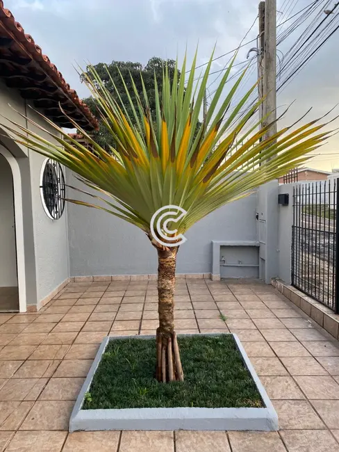 Casa com 3 quartos à venda, 250m2 em Jardim Planalto, Campinas - SP - imagem 5 Foto 5 de Casa com 3 quartos à venda, 250m2 em Jardim Planalto, Campinas - SP