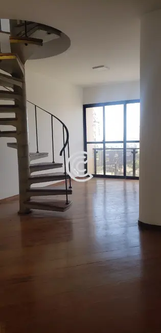 Foto 3 de Apartamento com 3 quartos para alugar, 210m2 em Jardim das Paineiras, Campinas - SP
