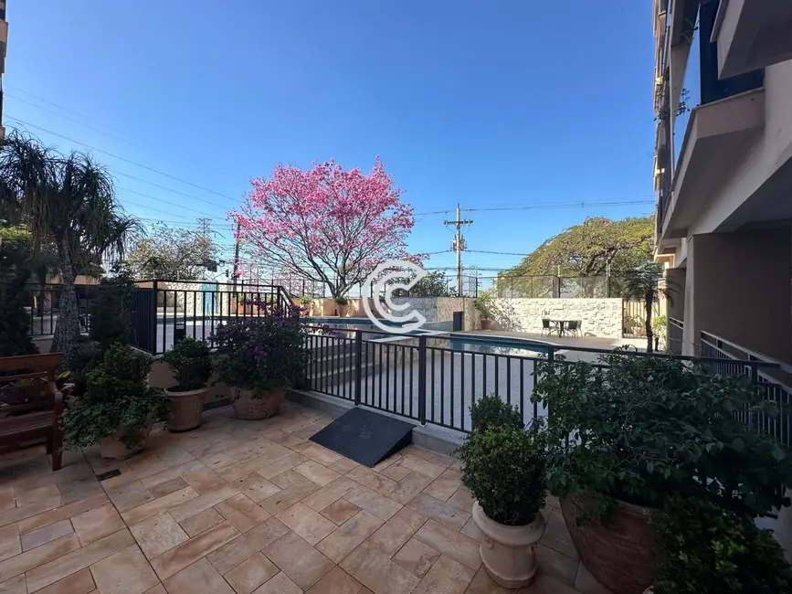 Apartamento com 3 quartos à venda, 116m2 em Jardim das Paineiras, Campinas - SP - imagem 7 Foto 7 de Apartamento com 3 quartos à venda, 116m2 em Jardim das Paineiras, Campinas - SP