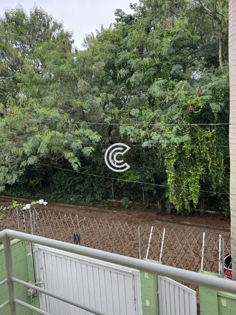 Foto 3 de Casa com 3 quartos à venda, 259m2 em Bosque de Barão Geraldo, Campinas - SP
