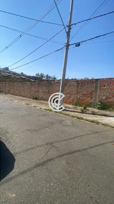 Foto 5 de Armazém / Galpão para alugar, 100m2 em Jardim São Fernando, Campinas - SP