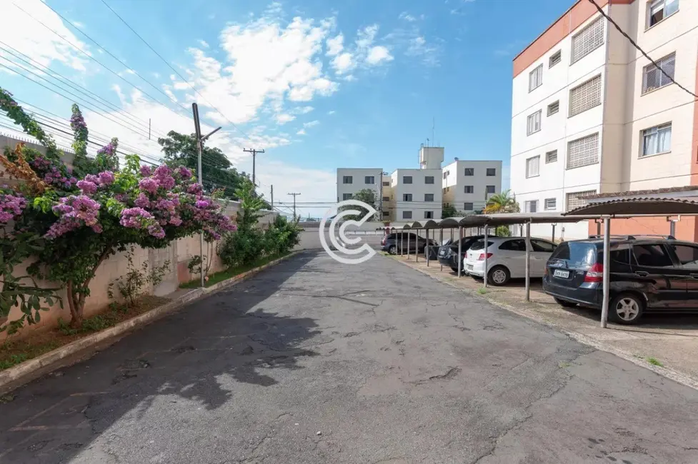 Apartamento com 3 quartos à venda, 70m2 em Vila Mimosa, Campinas - SP - imagem 1 Foto 1 de Apartamento com 3 quartos à venda, 70m2 em Vila Mimosa, Campinas - SP