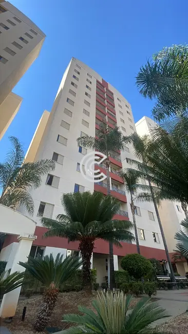 Apartamento com 2 quartos para alugar, 69m2 em Mansões Santo Antônio, Campinas - SP - imagem 1 Foto 1 de Apartamento com 2 quartos para alugar, 69m2 em Mansões Santo Antônio, Campinas - SP