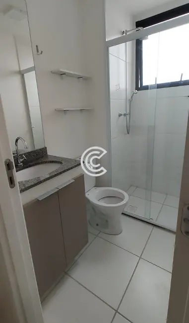 Foto 7 de Apartamento com 2 quartos para alugar, 44m2 em Jardim Ibirapuera, Campinas - SP