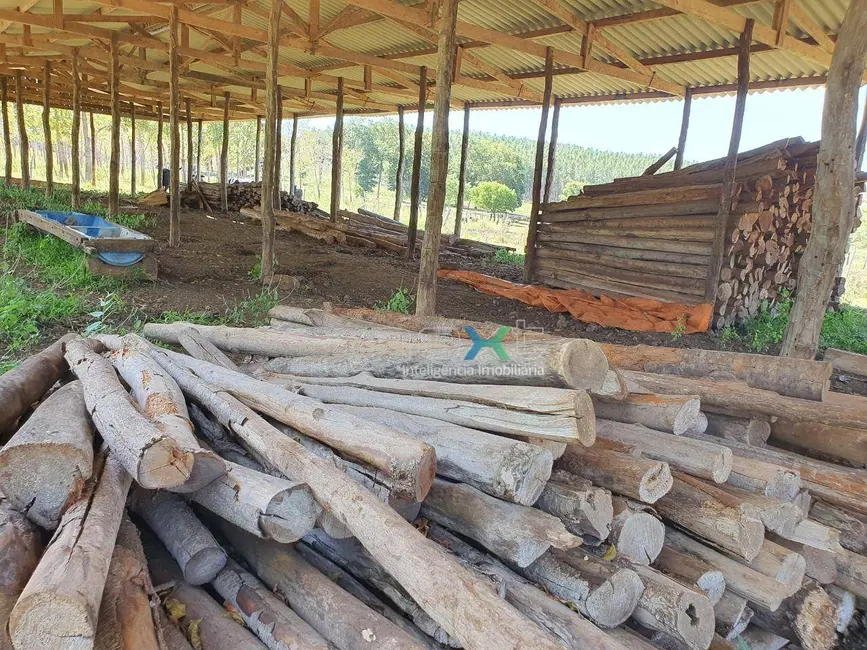 Fazenda / Haras à venda, 4000000m2 em Dois Irmaos Do Buriti - MS - imagem 8 Foto 8 de Fazenda / Haras à venda, 4000000m2 em Dois Irmaos Do Buriti - MS