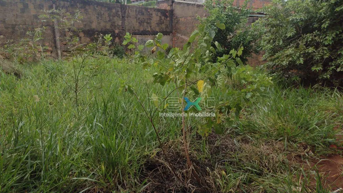 Terreno / Lote à venda, 360m2 em Vila Carlota, Campo Grande - MS - imagem 5 Foto 5 de Terreno / Lote à venda, 360m2 em Vila Carlota, Campo Grande - MS