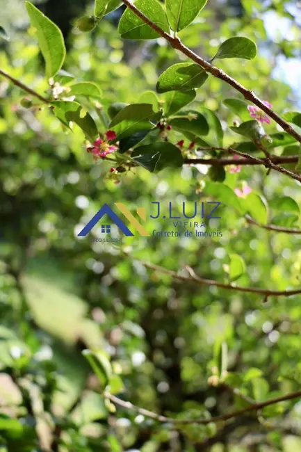 Foto 9 de Chácara com 3 quartos à venda, 6000m2 em Recanto dos Pássaros, Indaiatuba - SP