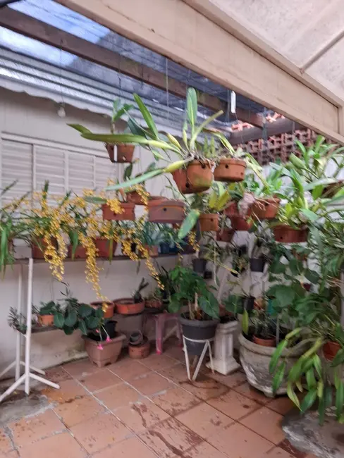 Casa com 2 quartos à venda, 110m2 em Centro, Indaiatuba - SP - imagem 5 Foto 5 de Casa com 2 quartos à venda, 110m2 em Centro, Indaiatuba - SP