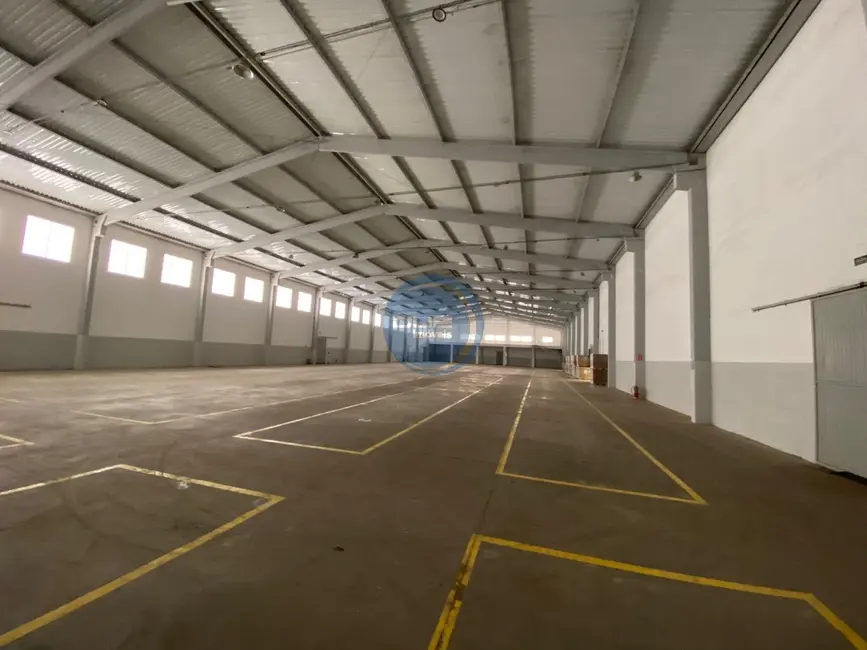 Foto 6 de Armazém / Galpão à venda e para alugar, 5552m2 em Comercial Vitória Martini, Indaiatuba - SP