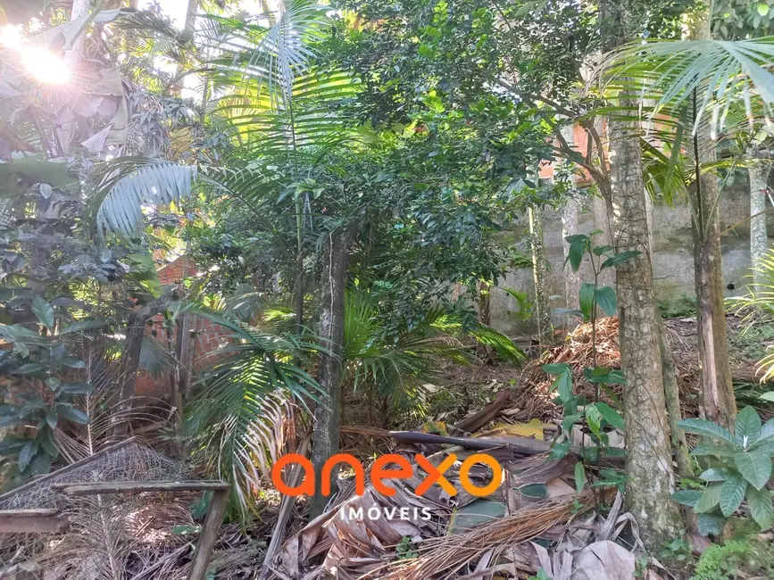 Casa com 3 quartos à venda, 750m2 em Escola Agrícola, Blumenau - SC - imagem 8 Foto 8 de Casa com 3 quartos à venda, 750m2 em Escola Agrícola, Blumenau - SC