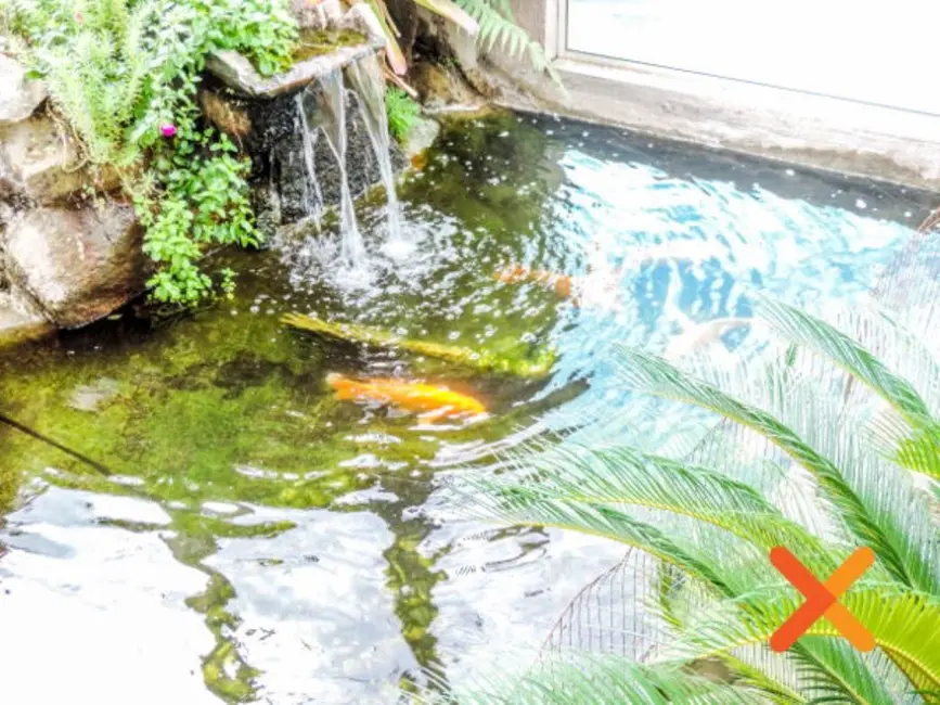 Foto 4 de Casa com 4 quartos à venda, 514m2 em Carijós, Indaial - SC