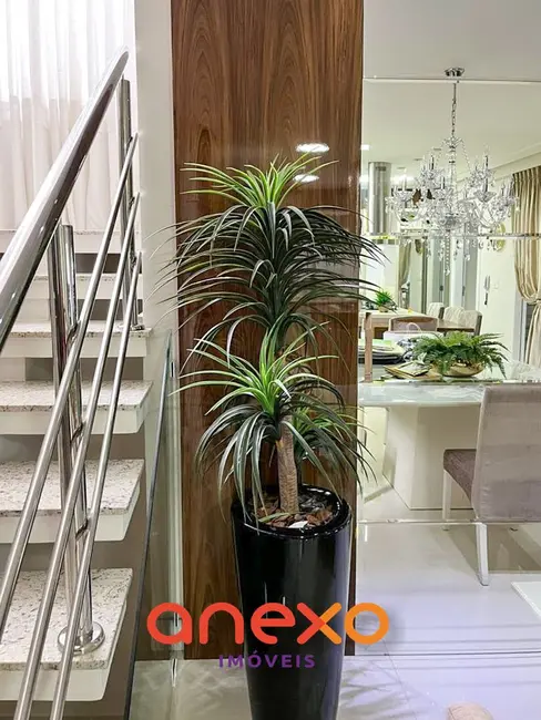 Casa com 3 quartos à venda, 262m2 em Itoupava Central, Blumenau - SC - imagem 5 Foto 5 de Casa com 3 quartos à venda, 262m2 em Itoupava Central, Blumenau - SC