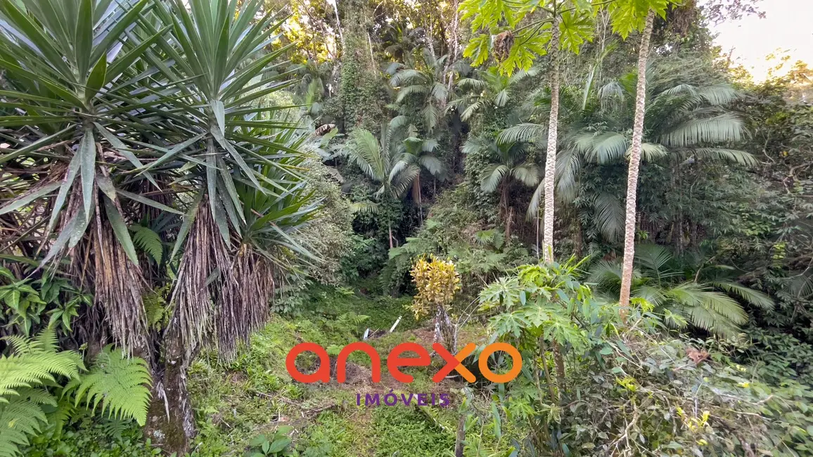 Terreno / Lote à venda, 9690m2 em Itoupavazinha, Blumenau - SC - imagem 7 Foto 7 de Terreno / Lote à venda, 9690m2 em Itoupavazinha, Blumenau - SC