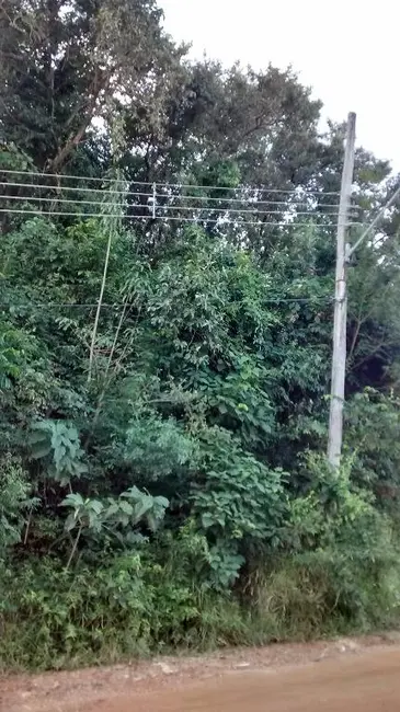 Foto 5 de Terreno / Lote à venda, 9700m2 em Vista Alegre, Vinhedo - SP