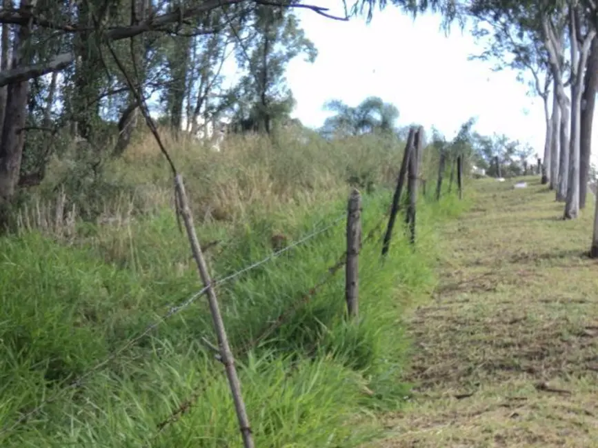 Foto 6 de Terreno / Lote à venda, 20000m2 em Monte Alegre, Vinhedo - SP