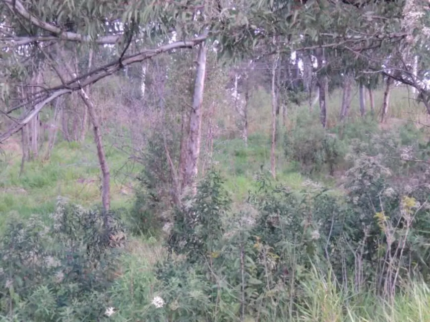 Foto 9 de Terreno / Lote à venda, 20000m2 em Monte Alegre, Vinhedo - SP