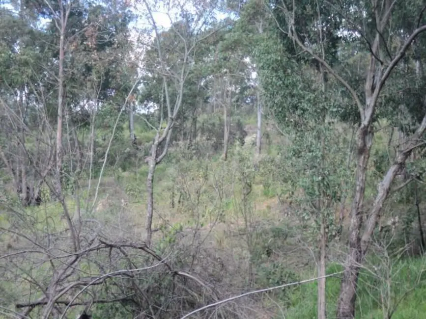 Foto 8 de Terreno / Lote à venda, 20000m2 em Monte Alegre, Vinhedo - SP