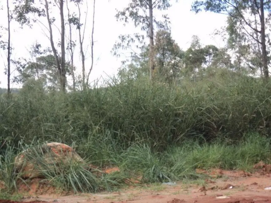 Foto 4 de Terreno / Lote à venda, 20000m2 em Monte Alegre, Vinhedo - SP