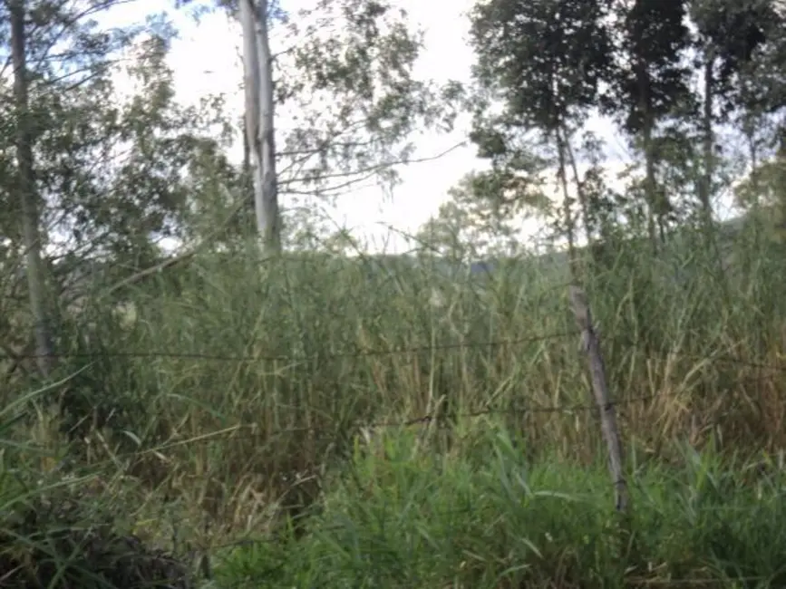 Foto 3 de Terreno / Lote à venda, 20000m2 em Monte Alegre, Vinhedo - SP