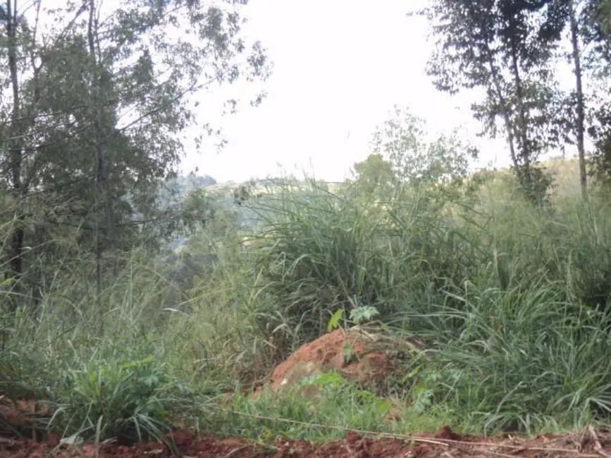 Foto 2 de Terreno / Lote à venda, 20000m2 em Monte Alegre, Vinhedo - SP