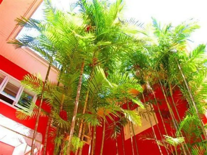 Casa de Condomínio com 4 quartos à venda, 2000m2 em Jardim dos Manacás, Valinhos - SP - imagem 3 Foto 3 de Casa de Condomínio com 4 quartos à venda, 2000m2 em Jardim dos Manacás, Valinhos - SP