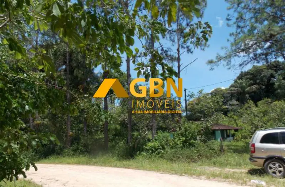 Chácara à venda, 173000m2 em Juquia - SP - imagem 5 Foto 5 de Chácara à venda, 173000m2 em Juquia - SP