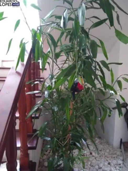 Foto 6 de Chácara com 4 quartos à venda, 400m2 em Vale das Laranjeiras, Indaiatuba - SP