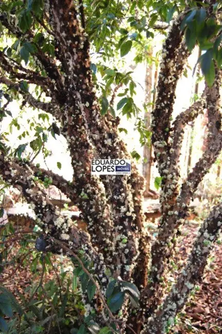 Foto 5 de Casa com 3 quartos à venda, 187m2 em Jardim São Francisco, Indaiatuba - SP