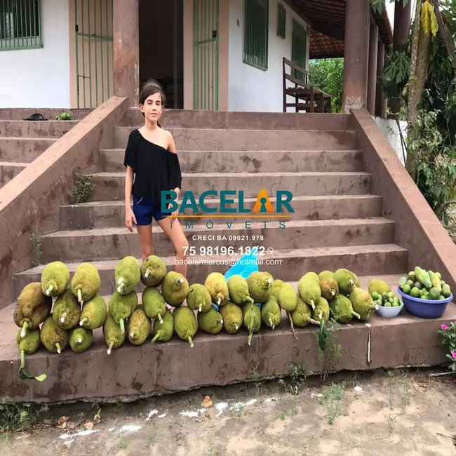 Foto 5 de Chácara à venda em Sao Goncalo Dos Campos - BA