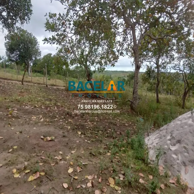 Foto 6 de Chácara à venda em Retiro, Coracao De Maria - BA