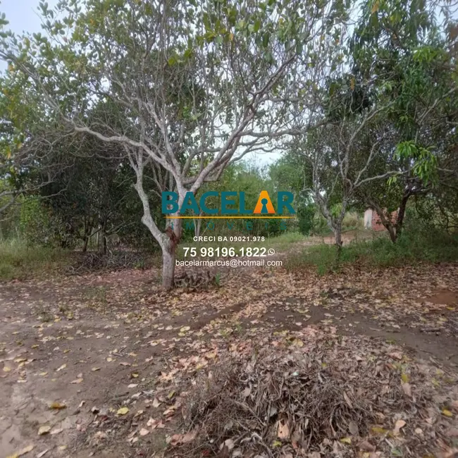 Foto 3 de Chácara à venda em Retiro, Coracao De Maria - BA