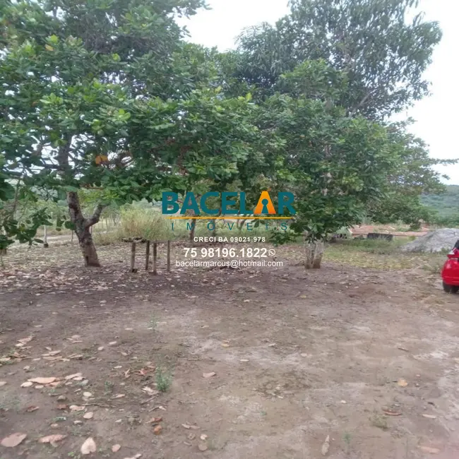 Foto 8 de Chácara à venda em Retiro, Coracao De Maria - BA