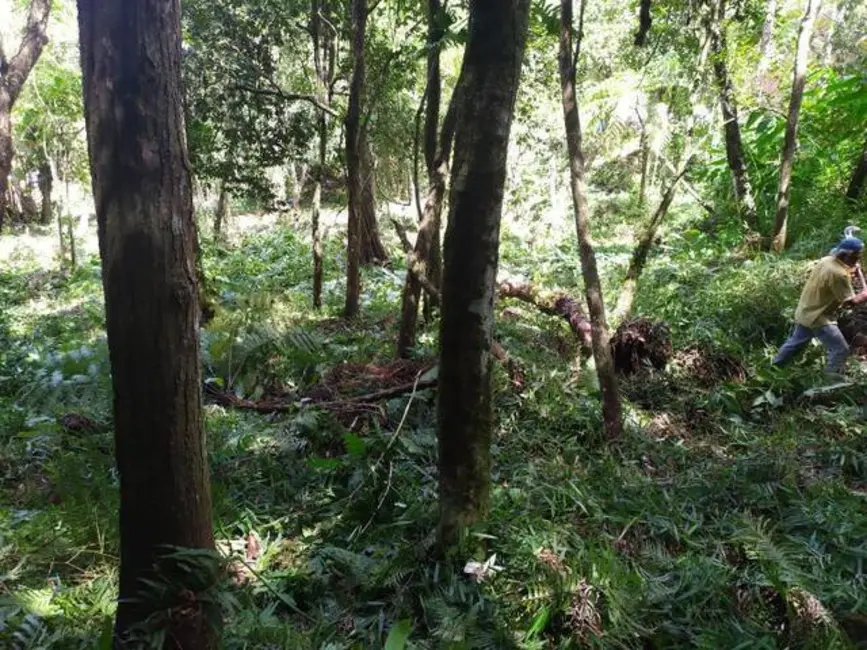 Foto 3 de Sala Comercial à venda, 10000m2 em Estância São Paulo, Campo Limpo Paulista - SP