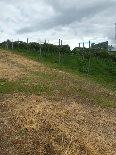 Foto 3 de Sala Comercial à venda, 13000m2 em Poste, Jundiai - SP