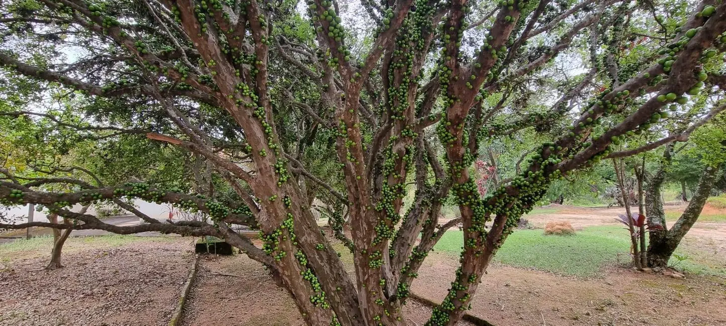 Foto 2 de Terreno / Lote à venda, 85000m2 em Itupeva - SP