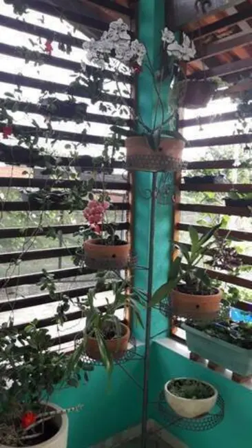 Chácara com 3 quartos à venda, 120m2 em Itupeva - SP - imagem 6 Foto 6 de Chácara com 3 quartos à venda, 120m2 em Itupeva - SP