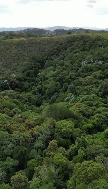 Foto 9 de Terreno / Lote à venda, 135000m2 em Estância São Paulo, Campo Limpo Paulista - SP