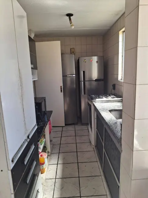 Foto 2 de Apartamento com 3 quartos à venda, 69m2 em Residencial Terra da Uva, Jundiai - SP