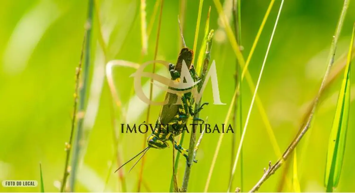 Foto 9 de Terreno / Lote à venda, 360m2 em Estância Parque de Atibaia, Atibaia - SP