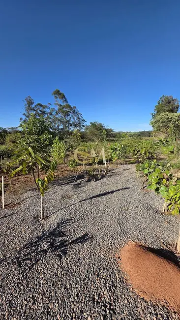 Foto 6 de Casa com 5 quartos à venda, 4000m2 em Rio Abaixo, Atibaia - SP