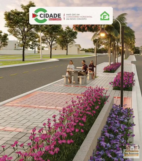 Foto 5 de Terreno / Lote à venda, 250m2 em Caldas Novas - GO