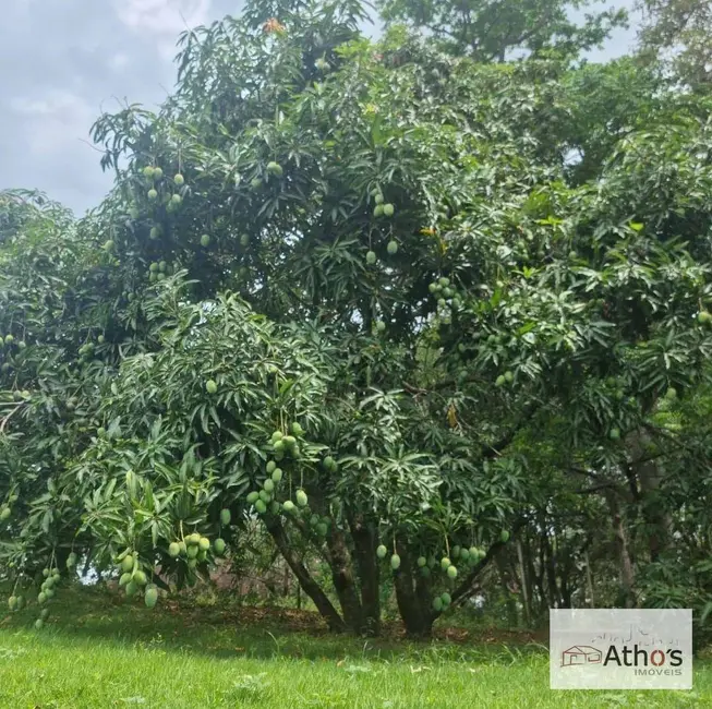 Foto 7 de Chácara com 5 quartos à venda, 25000m2 em Recanto das Flores, Indaiatuba - SP
