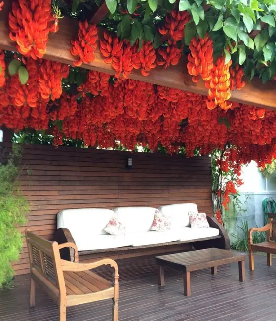 Foto 7 de Casa com 3 quartos à venda, 300m2 em Jurerê Internacional, Florianopolis - SC