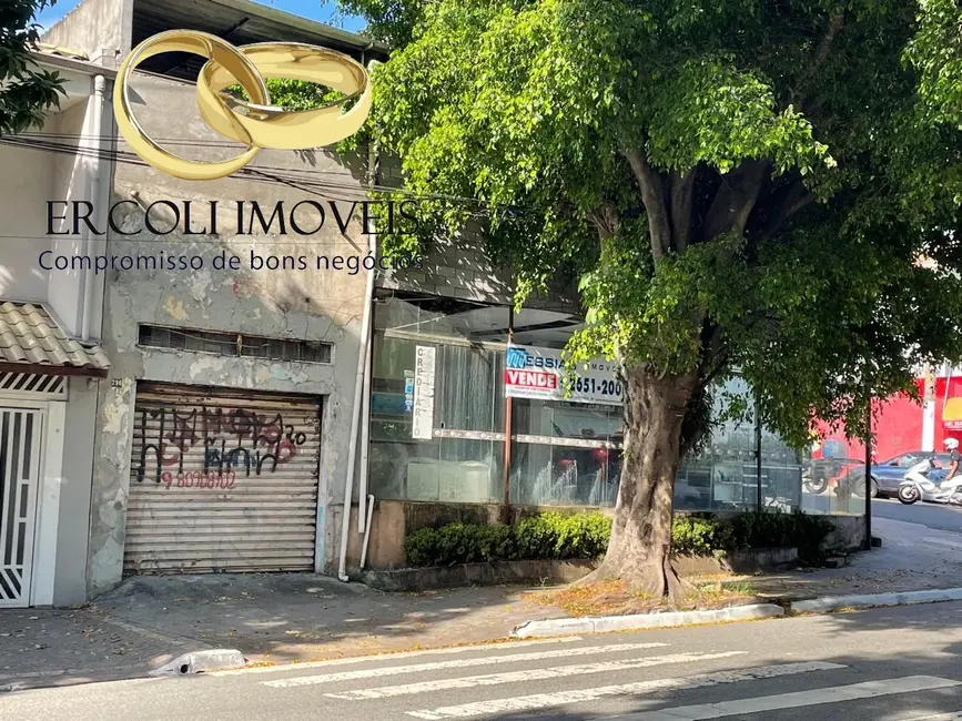 Foto 4 de Loja à venda, 280m2 em Vila Matilde, São Paulo - SP