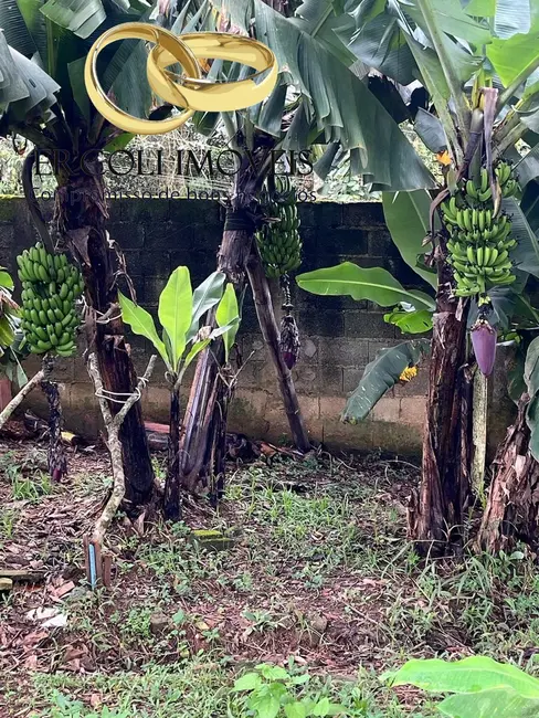 Foto 6 de Chácara com 2 quartos à venda, 120m2 em Parque São Martinho, Mogi Das Cruzes - SP